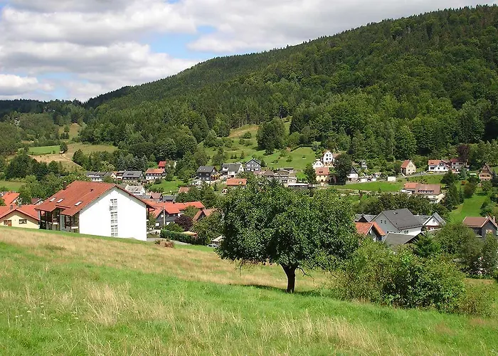 Otel Muehlbergblick Mengersgereuth-Hammern